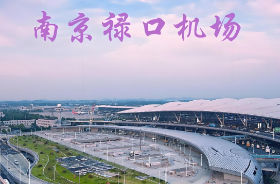 湛江始发南京航空快递